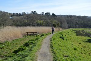 Tamar Valley walking trail from Tamerton Foliat to Launceston